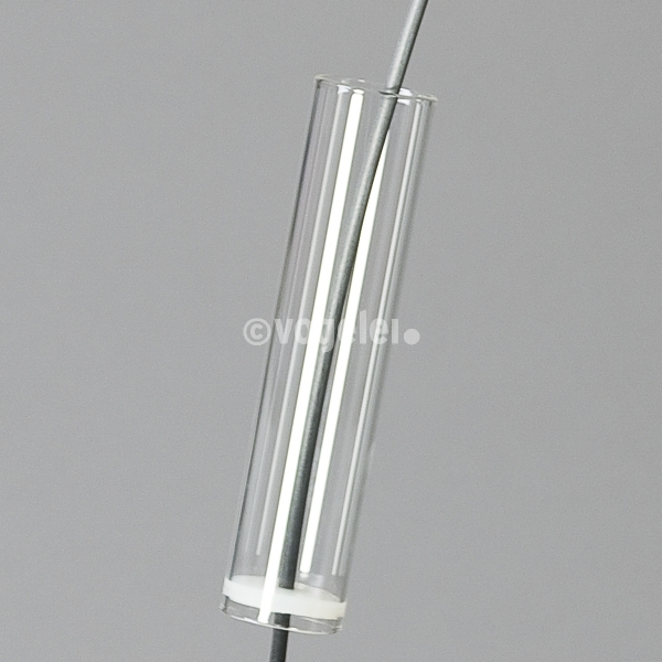 Vase Soliflore, Glas auf Carbonstruktur, Klar