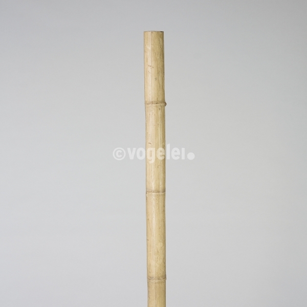 Bambusrohr, ca. D 5-10 x L 200, Natur