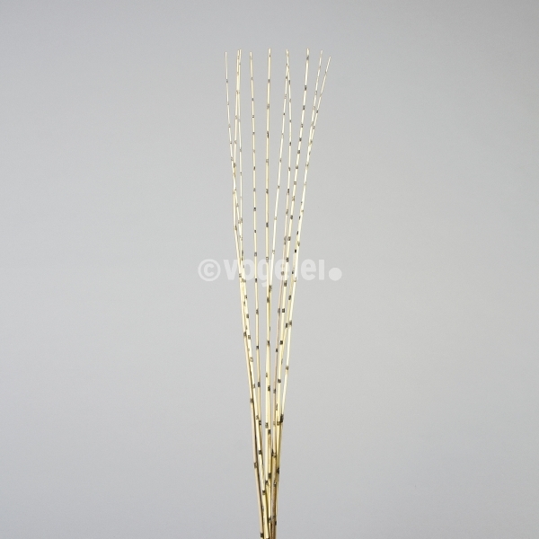 Zebra Reed lang, 10 Stück, L ca. 150 cm