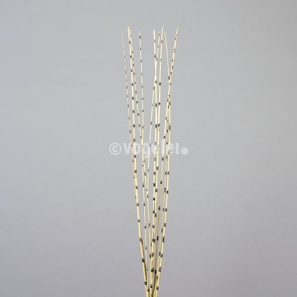 Zebra Reed kurz, 10 Stück, L ca. 120 cm