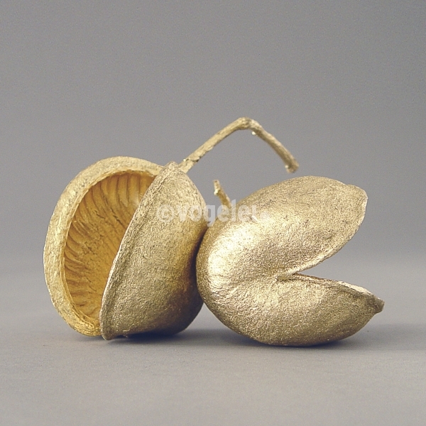 Buddha Nut, Gold