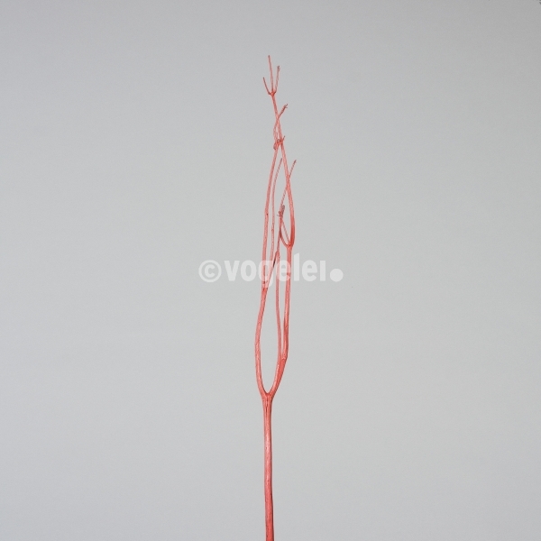 Mitsumata, gefärbt, L ca. 120 cm, Rot