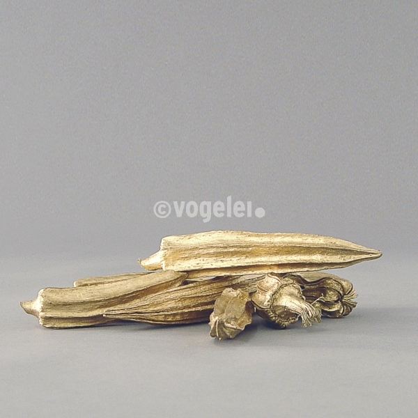 Okra gefärbt, L ca. 15 cm, Gold